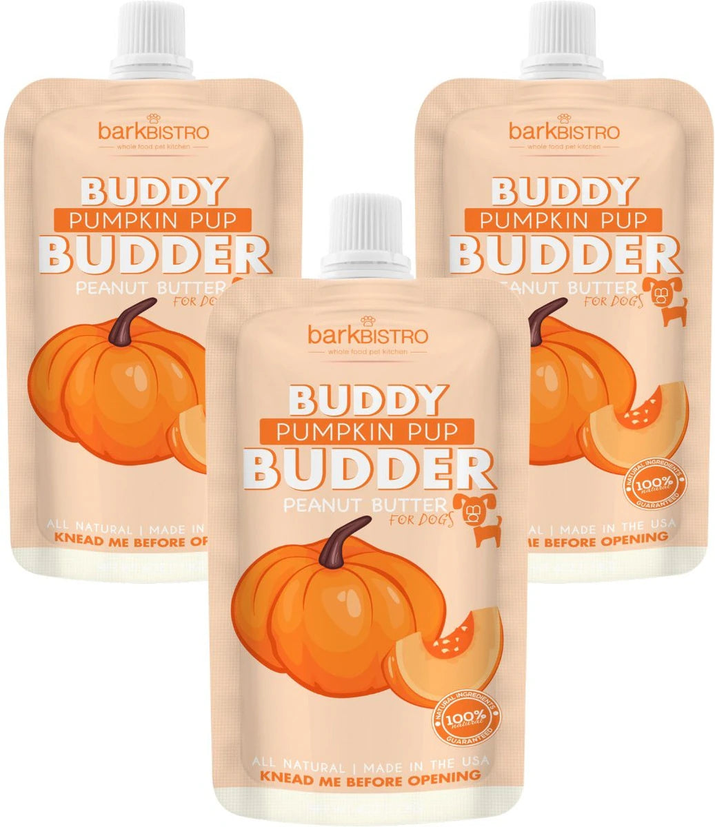 Buddy Budder Pumpkin